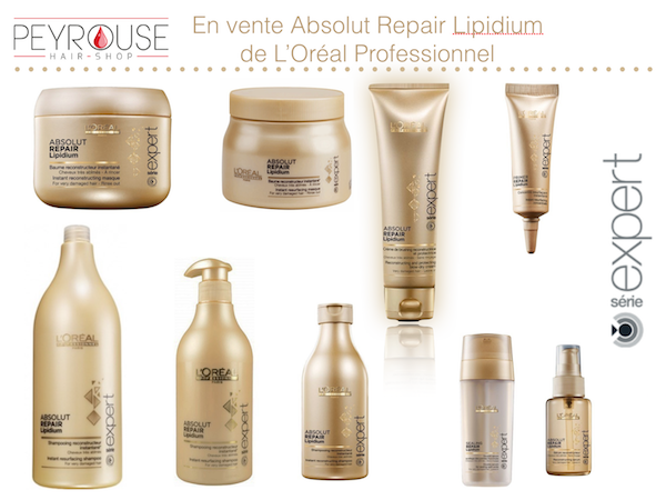 Absolut repair